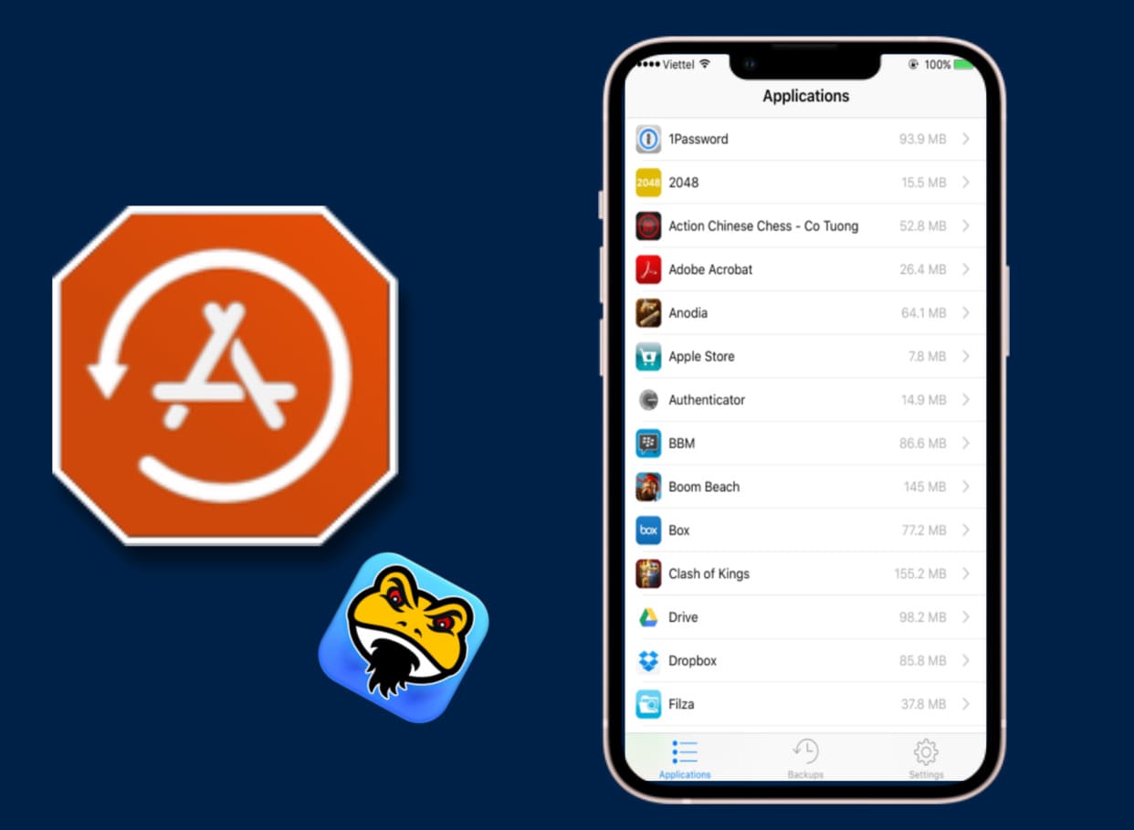 Apps Manager manage Application Data on IOS