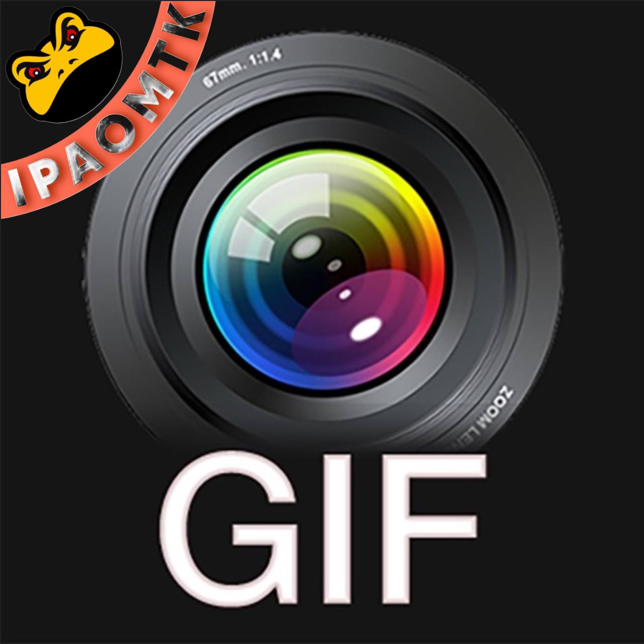 Video to GIF GIF Maker