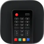 Universal TV Remote Control