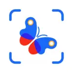 Picture Insect: Bug Identifier