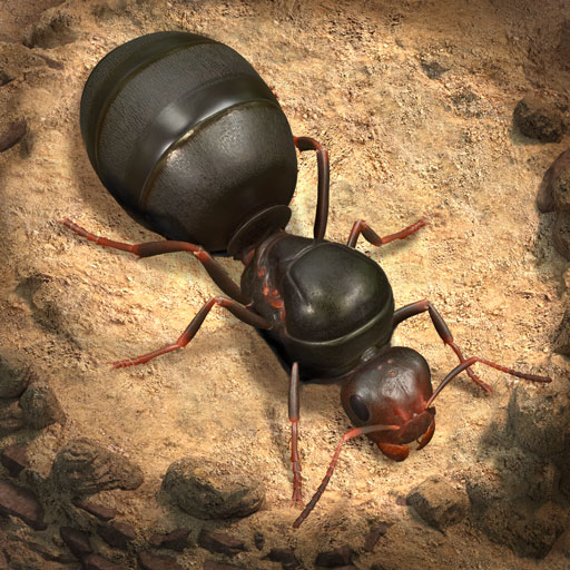 The Ants Underground Kingdom APK