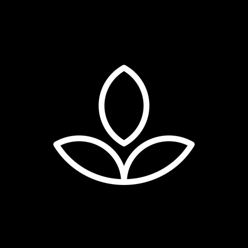 Emphasis: Flow & Focus Timer IPA MOD v10.0.1 (Premium Unlocked) iOS