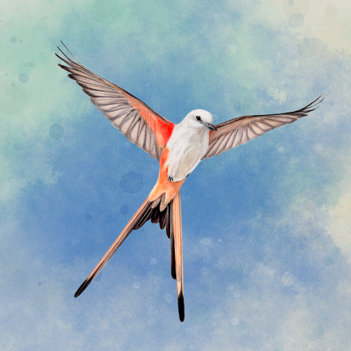 Wingspan: The Board Game APK v1.7.917 (Unlocked) For Android