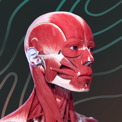 Easy Anatomy 3D with Voice AI IPA v5.40.0 (Subscription unlocked) For iOS