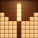 Block Puzzle Wood 3D