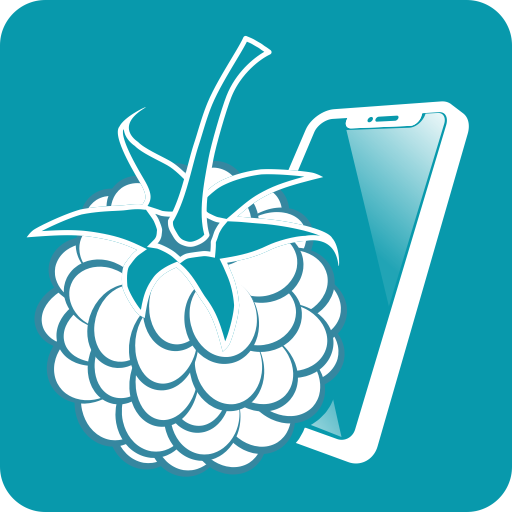 RaspController APK v6.2.4 (Premium Unlocked) For Android