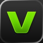 VEED Lite: Quick Video Edits
