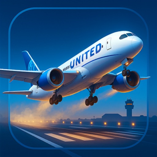Airline Captain Flight Sim