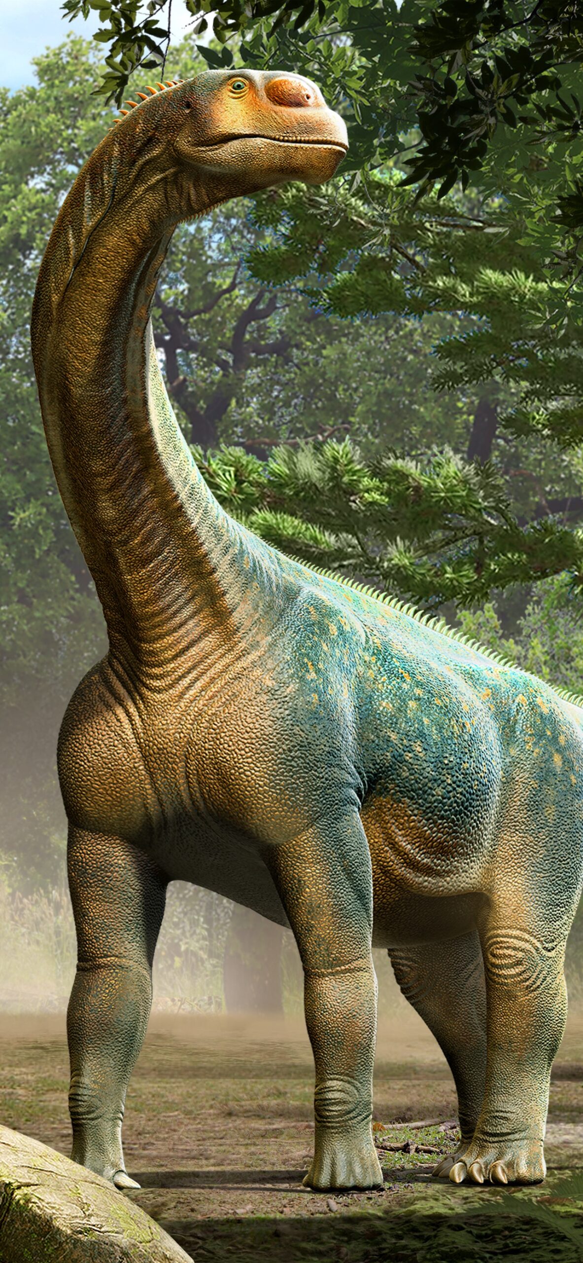 Dinosaur World Encyclopedia screenshot 5