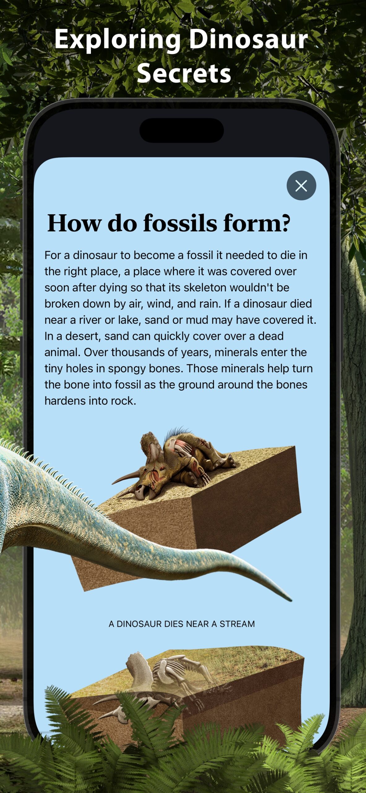 Dinosaur World Encyclopedia screenshot 6
