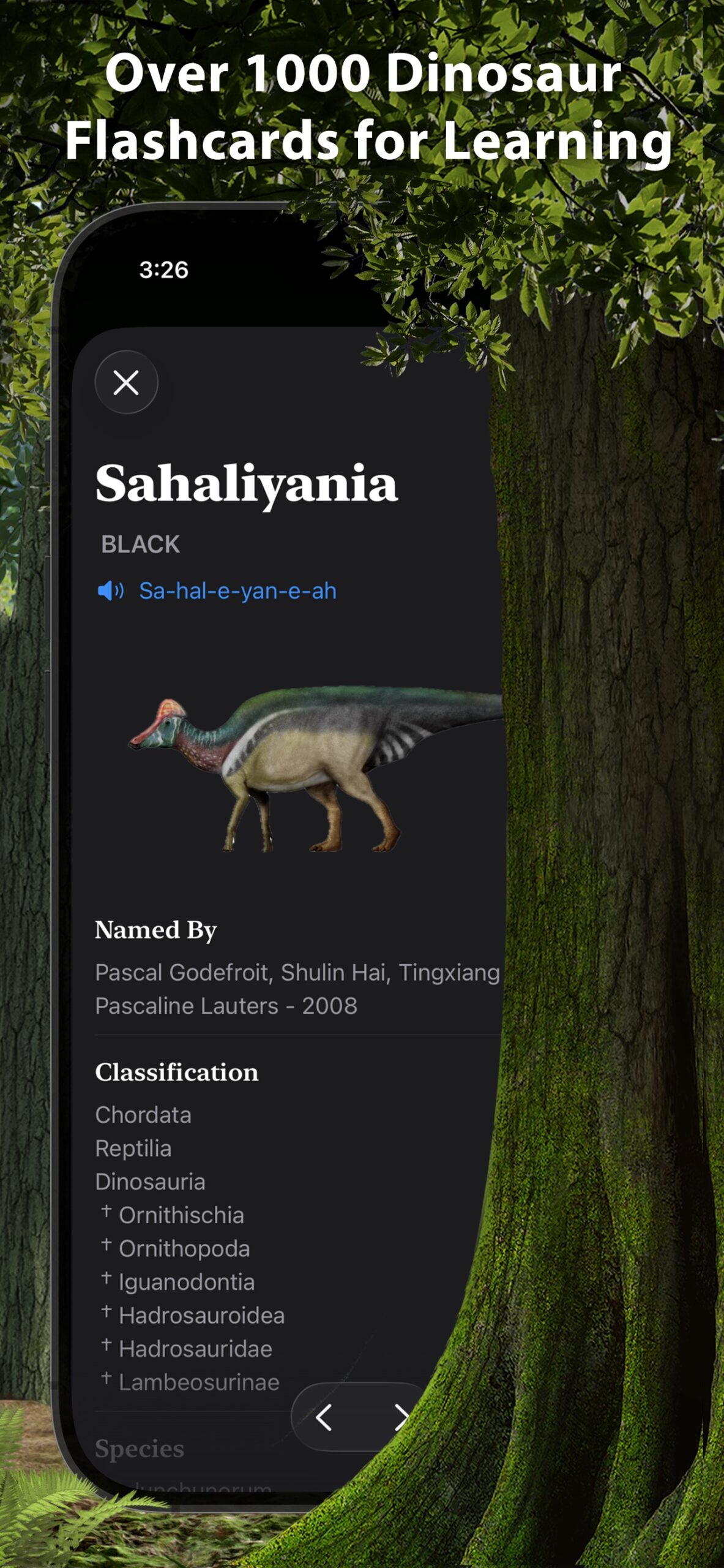 Dinosaur World Encyclopedia screenshot 7