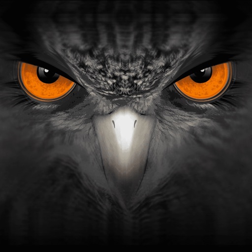 EagleEyes-plus IPA v082 For iOS