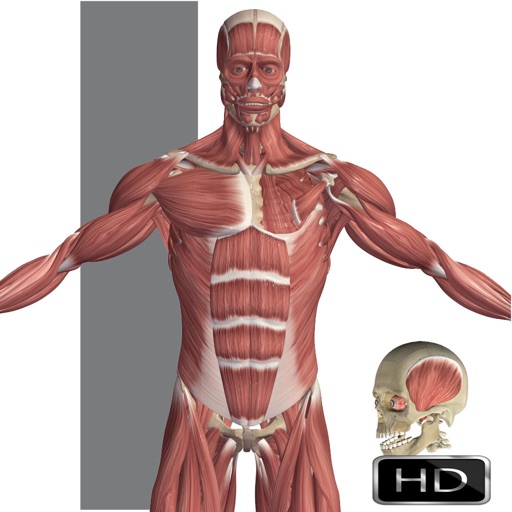 Visual Anatomy IPA v7.1 (Paid on the Apple Store) For iOS