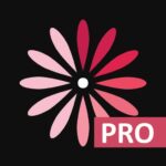 WomanLog Pro Calendar